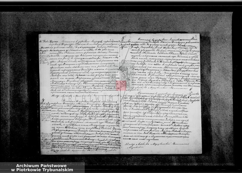 Obraz 6 z jednostki "[Księga duplikat aktów urodzonych, zaślubionych i zmarłych]"
