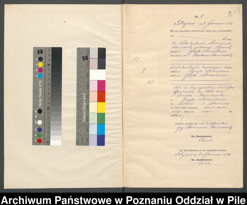Obraz 3 z jednostki "Księga zgonów"