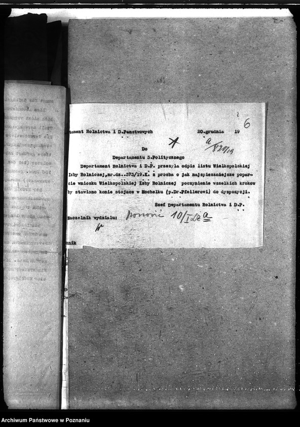 Obraz 10 z jednostki "Instytut Higieny Zwierząt w Bydgoszczy"