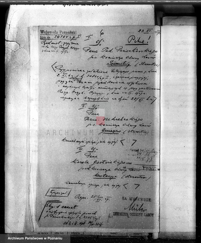 Obraz 10 z jednostki "Majętność Posadowo w powiecie nowotomyskim"