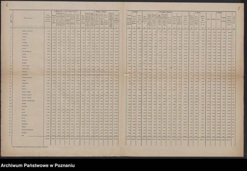 Obraz 7 z jednostki "[Wyniki stwierdzenia powierzchni zasiewów w Księstwie Pomorskim w czerwcu 1919 roku, wyniki oszacowania plonów roślin okopowych w 1919 roku i wyniki spisu żywego inwentarza 15 XII 1919 roku]"