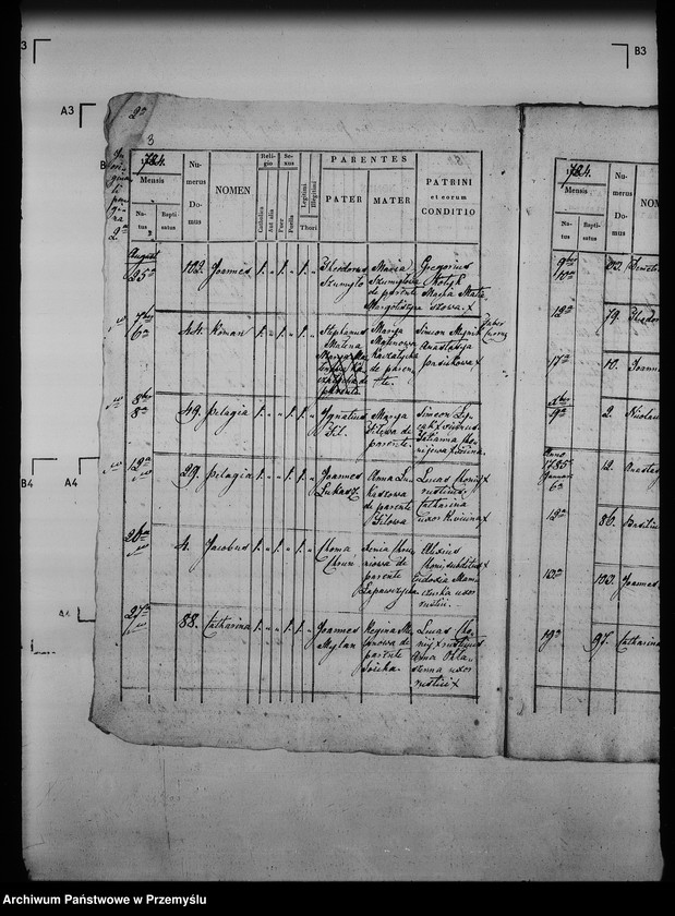 Obraz 7 z jednostki "[Kopie ksiąg metrykalnych parafii Gnojnice z filią Wola Gnojnicka (dekanat Jaworów)]"
