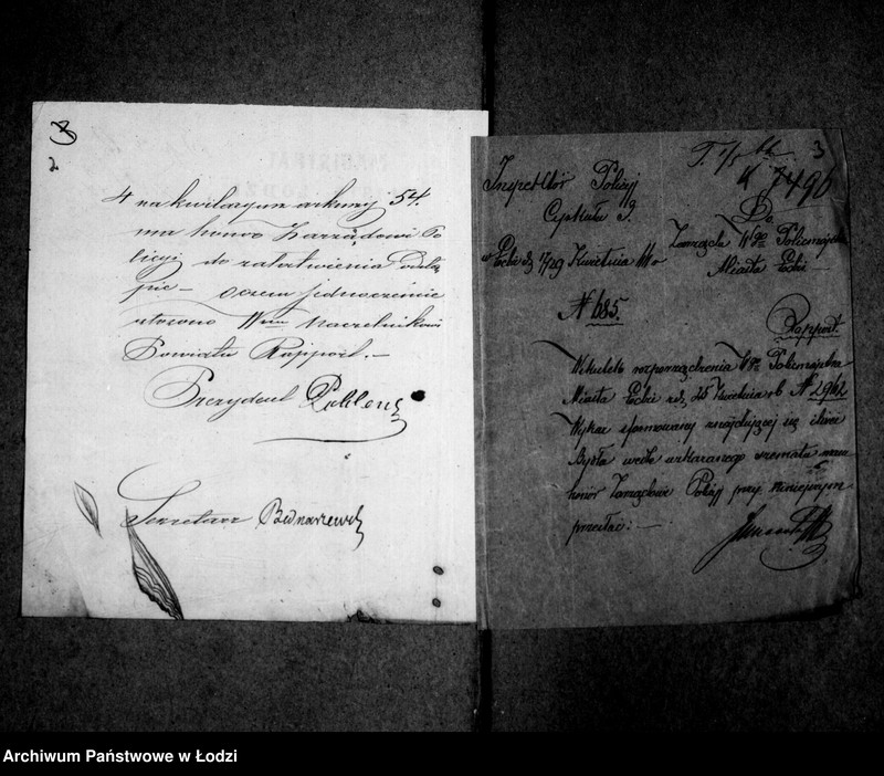 Obraz 6 z jednostki "Akta tyczące się bydła domowego"