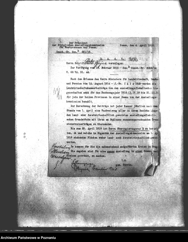 Obraz 12 z jednostki "Polowanie na jeziorze Bytyńskim Komorowo-Gorzewice"