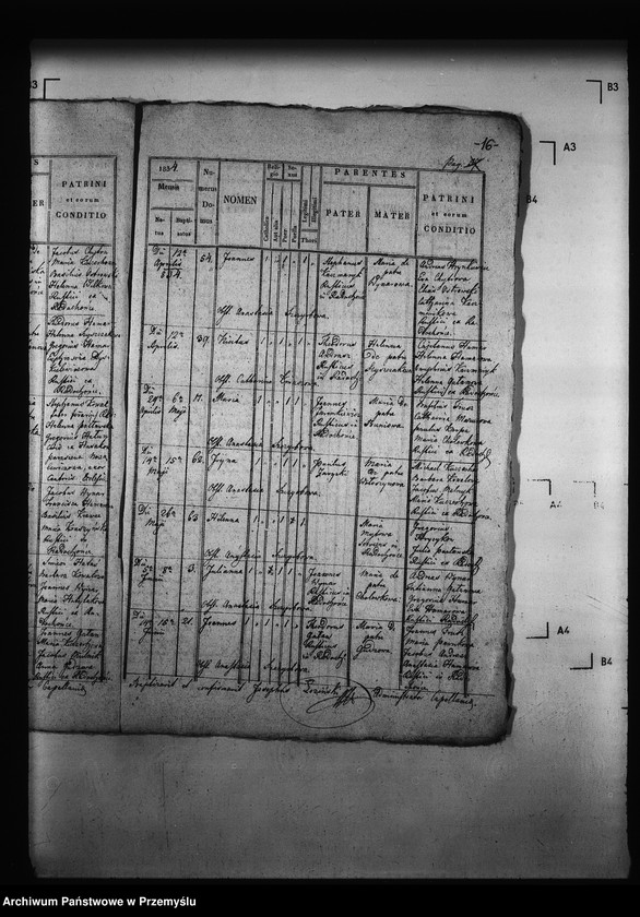 Obraz 20 z jednostki "[Kopie ksiąg metrykalnych parafii Radochońce z filią Horysławice (dekanat Niżankowice)]"