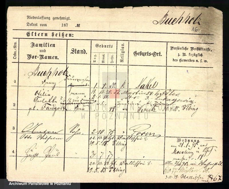 Obraz 18 z jednostki "Buchholz - Buczyński"