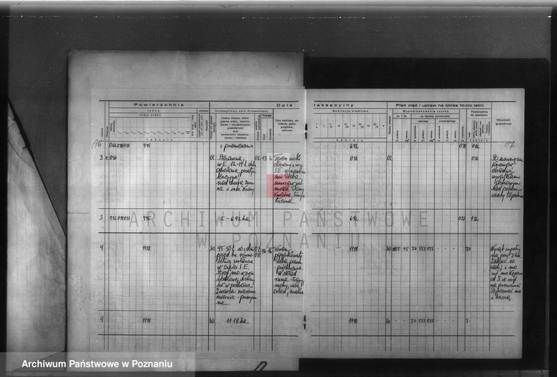 Obraz 19 z jednostki "Program urządzenia gospodarstwa leśnego dla lasu majętności Glinno powiat poznański 1938-1948"