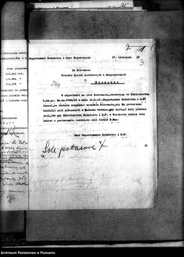 Obraz 7 z jednostki "Sprawy szczegółowo-administracyjne Sztuczne nawozy potasowe"