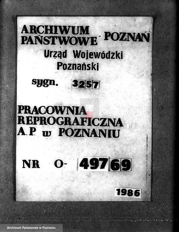 Obraz 1 z jednostki "Majętność leśna Jeżewo w powiecie gostyńskim"