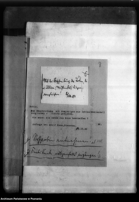 Obraz 12 z jednostki "Julius Kaus aus Mühlental (Izbica), Kreis Warthbrücken (Koło)"