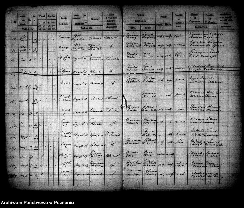 Obraz 15 z jednostki "Księga urodzin"