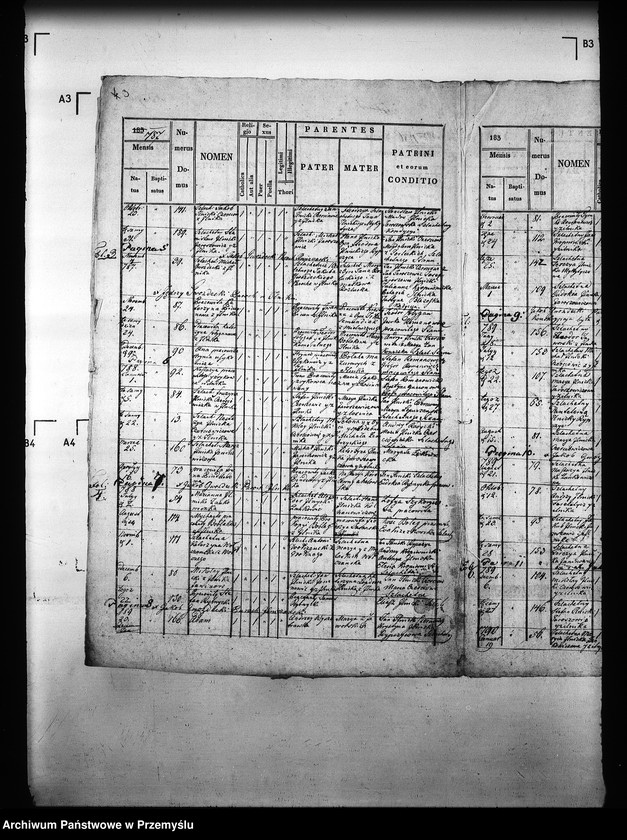 Obraz 8 z jednostki "[Kopie ksiąg metrykalnych parafii Ilnik (dekanat Turka)]"