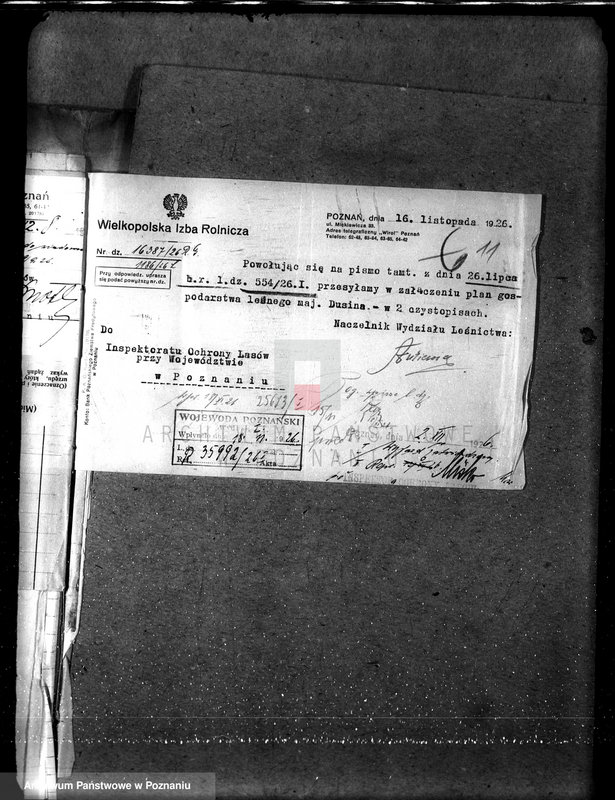 Obraz 15 z jednostki "Nadzór nad gospodarką w lasach majątku Dusina w powiecie gostyńskim"