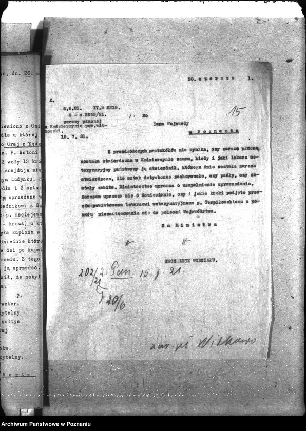 Obraz 20 z jednostki "Zaraza płucna - Witkowo"