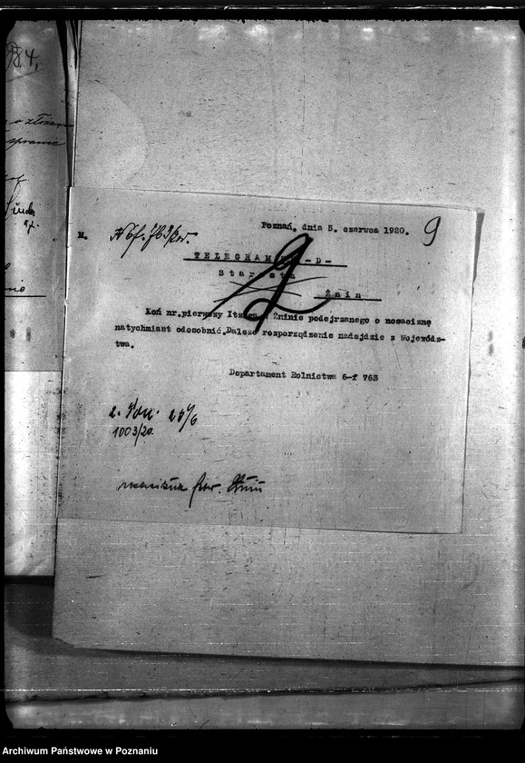 Obraz 13 z jednostki "Nosacizna - Żnin"