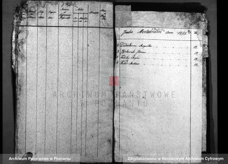 image.from.unit.number "Duplicatum baptisatorum, copulatorum, mortuorum"