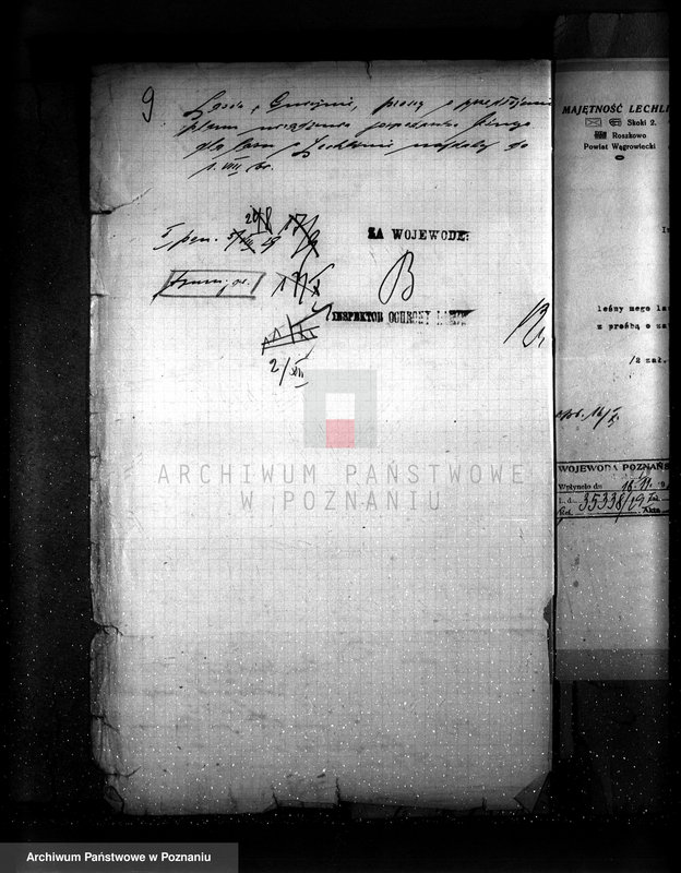 image.from.unit.number "Majętność leśna Lechlin powiat wągrowiecki"
