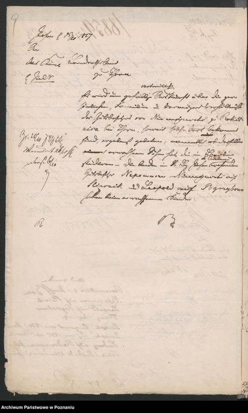 Obraz 12 z jednostki "A. betr. Josef Niemojewski, Gutsbesitzer"