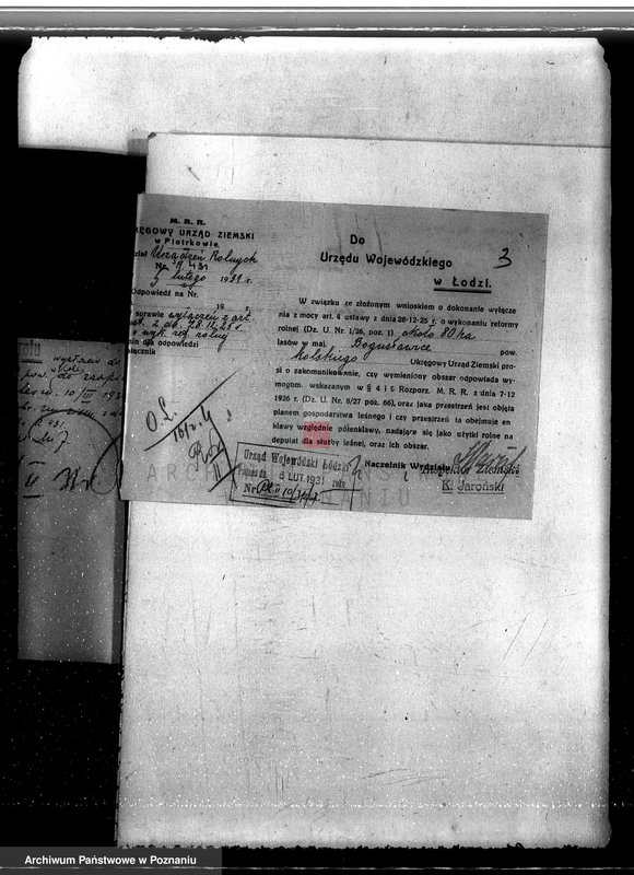 Obraz 7 z jednostki "Sprawa wyłączenia obszarów leśnych z majątku Bogusławice powiatu kolskiego"