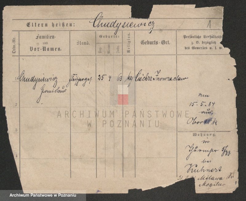 Obraz 3 z jednostki "Chudysiewicz - Chyczewski"