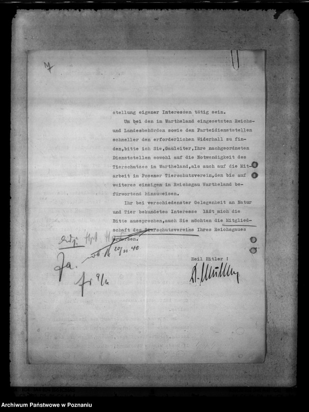 Obraz 11 z jednostki "Tierquälerei an Pferden. Scheuklappen."