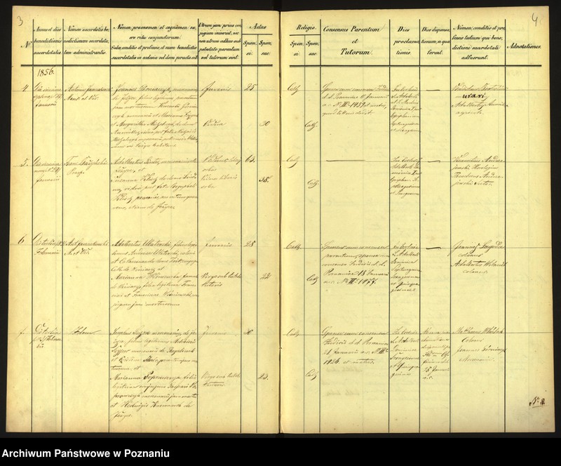 Obraz 5 z jednostki "Księga małżeństw"