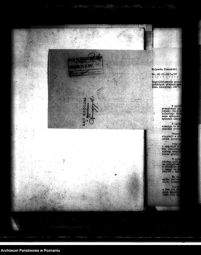 Obraz 7 z jednostki "Majątek Tuczępy powiatu międzychodzkiego przymusowy wykup"