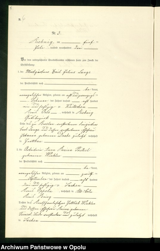 Obraz 9 z jednostki "Heiraths-Neben-Register Standes-Amt Riebnig 1903"