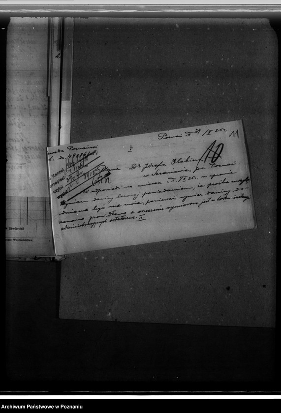 Obraz 15 z jednostki "Nadzór nad gospodarką w lasach majątku Szreniawa powiat poznański"