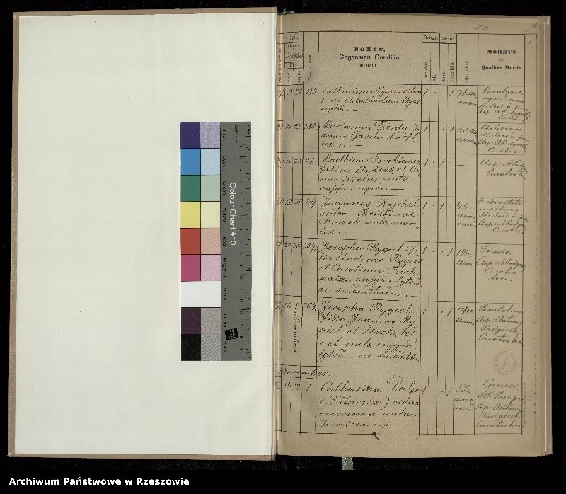 image.from.unit "Księga zgonów dla miejscowości Iwonicz"