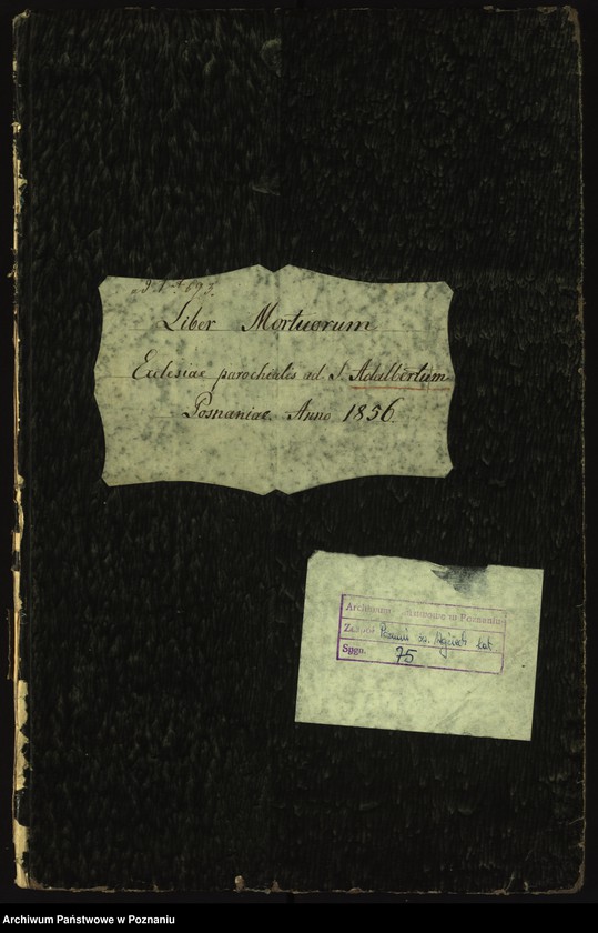 Obraz 2 z jednostki "Księga zgonów"