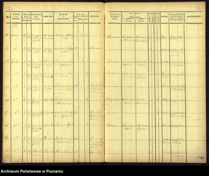Obraz 15 z jednostki "Księga zgonów"