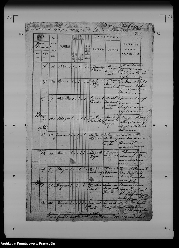 Obraz 7 z jednostki "[Kopie ksiąg metrykalnych parafii Ostrów z filiami Łowce, Morawsko, Tuczempy (dekanat Radymno)]"