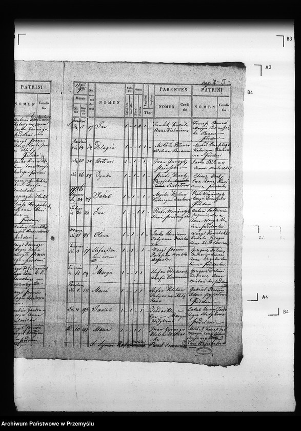 Obraz 10 z jednostki "[Kopie ksiąg metrykalnych parafii Szczerzec z filią Parypsy (dekanat Niemirów)]"