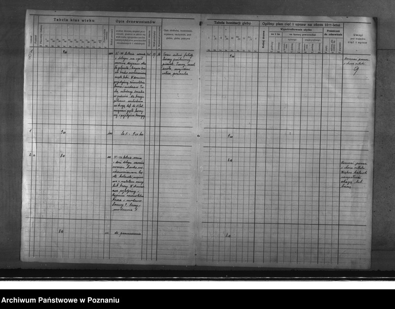 Obraz 11 z jednostki "Program urządzenia gospodarstwa leśnego dla lasu majętności Glinno powiat poznański 1928-1938"