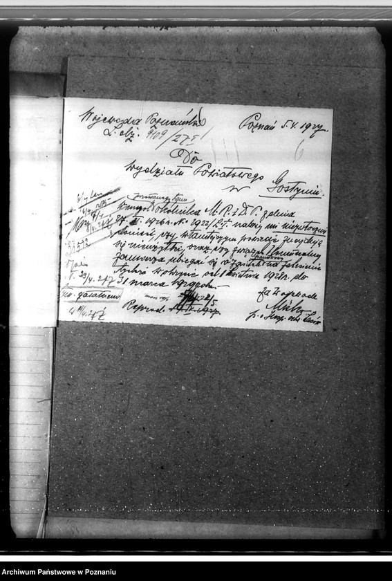 Obraz 10 z jednostki "Zalesienie nieużytków w powiecie gostyńskim"