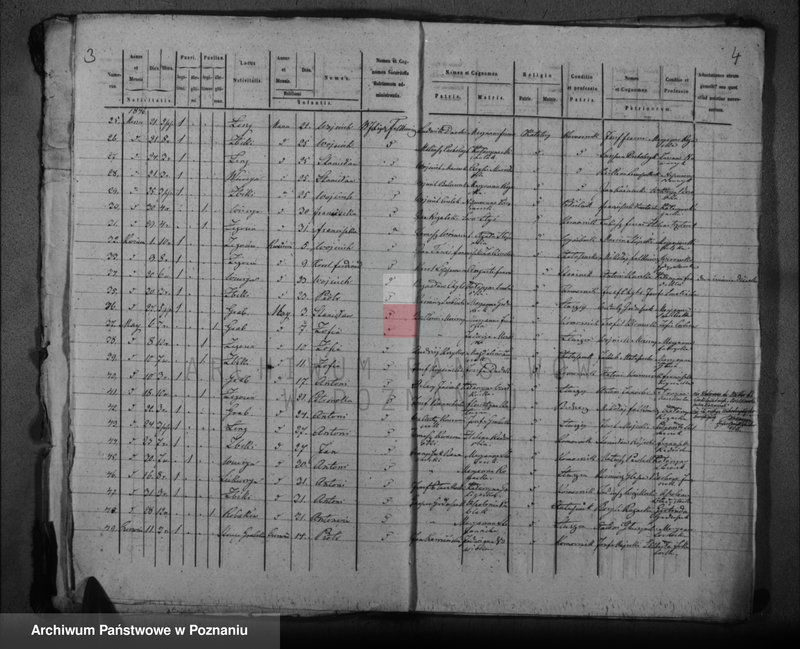 image.from.unit.number "Księga urodzeń, małżeństw i zgonów"