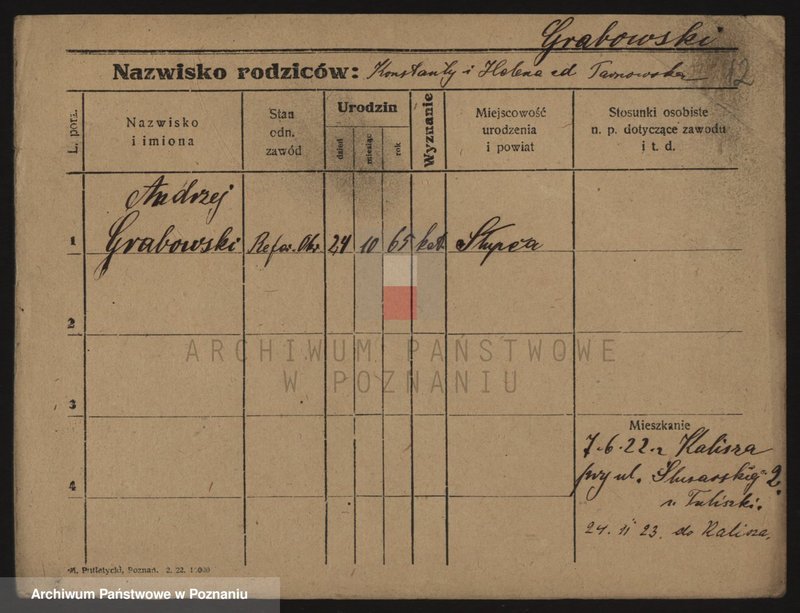 Obraz 14 z jednostki "Grabowski - Grabski"