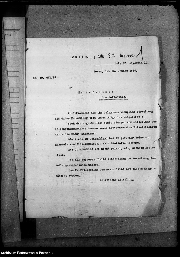 Obraz 5 z jednostki "Domeny - generalia"