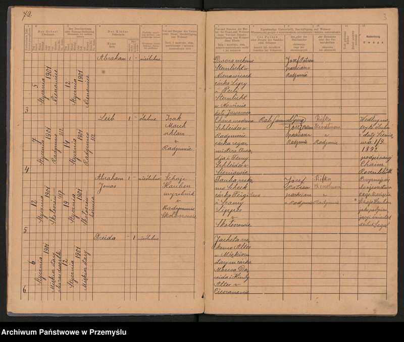 image.from.unit.number "Duplikat metryki urodzin za 1901 rok Urzędu metrykalnego izraelickiego w Radymnie. Tom VIII"