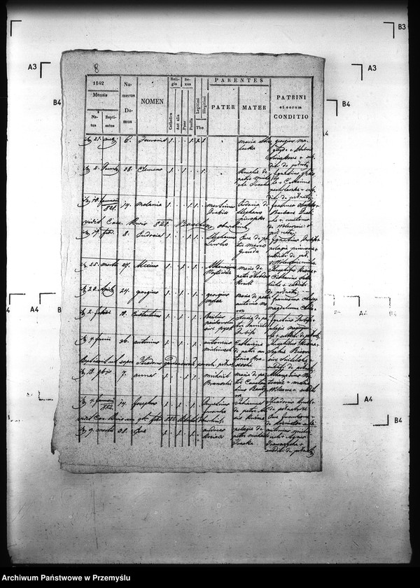 image.from.unit.number "[Kopie ksiąg metrykalnych parafii Pełniatycze z filiami Cząstkowice, Czelatyce, Roźwienica, Rożniatów, Rudołowice, Wola Roźwienicka (dekanat Pruchnik)]"