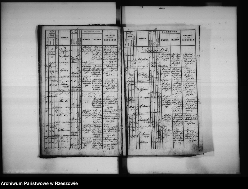 image.from.unit.number "Księga urodzeń 1851-1879, księga małżeństw 1851-1897, księga zgonów 1851-1890 - Pogwizdów"