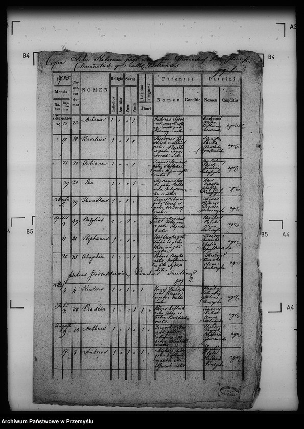 Obraz 6 z jednostki "[Kopie ksiąg metrykalnych parafii Szmitków z filiami Moszków, Sawczyn (dekanat Bełz)]"