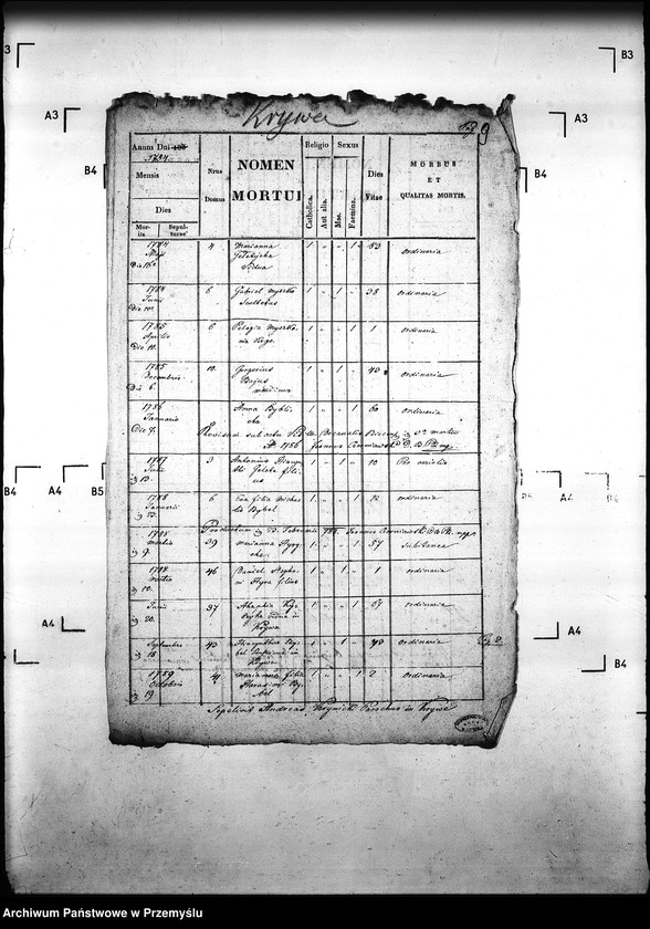 Obraz 12 z jednostki "[Kopie ksiąg metrykalnych parafii Krzywa z filią Banica (dekanat Gorlice)]"