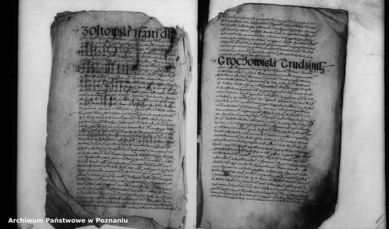 Obraz 4 z jednostki "Inscriptiones [inducta]"