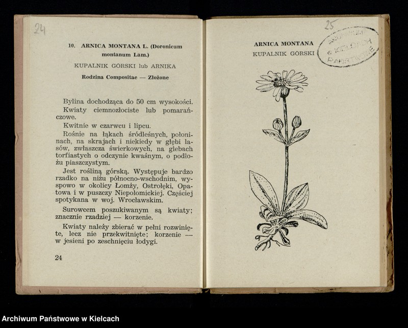 image.from.collection.number "Rośliny lecznicze111"