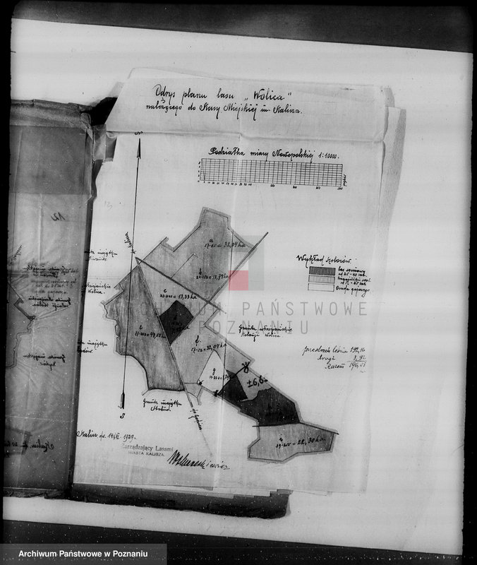Obraz 16 z jednostki "Sprawa częściowej zmiany użytkowania 196,08 ha gruntów leśnych miasta Kalisza dla celów parcelacji letniskowej"