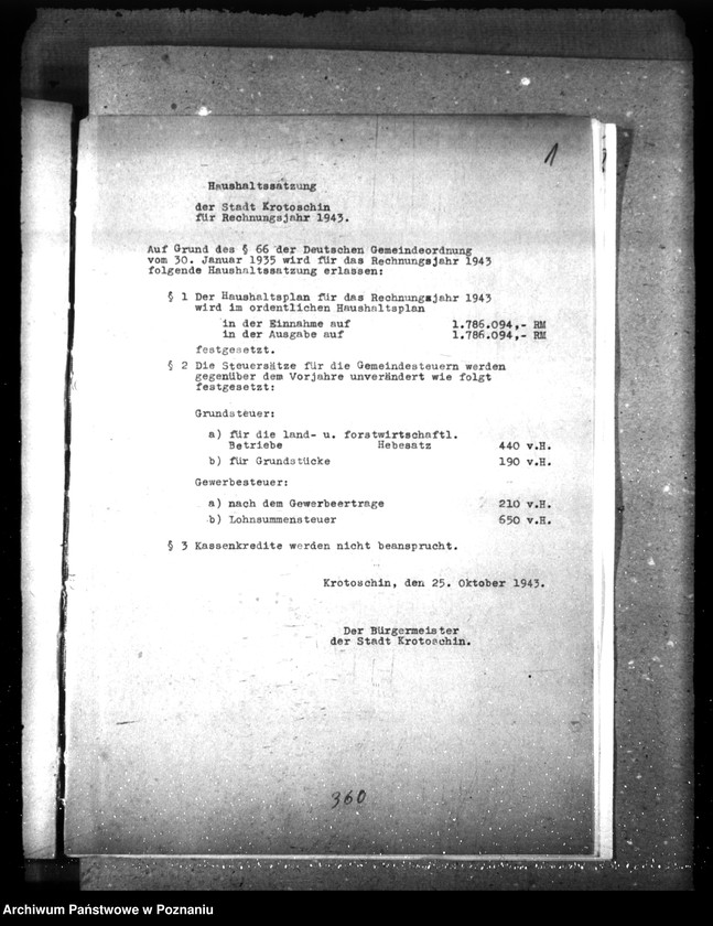 Obraz 5 z jednostki "Haushaltsplan und Haushaltssatzung der Stadt Krotoschin"