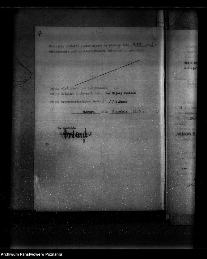 Obraz 11 z jednostki "Parcele leśne pod nazwą,,Zakrzew" powiat turecki"