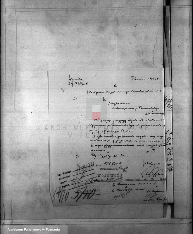 Obraz 11 z jednostki "Różności miasta Sarnowy"